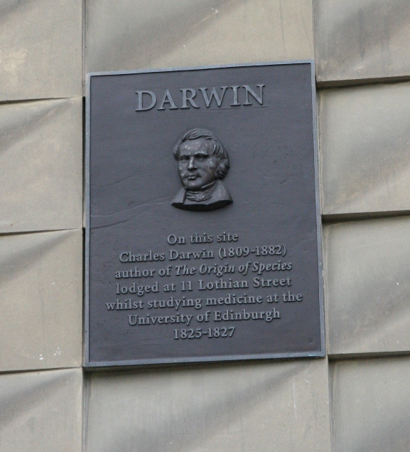 darwin rocks